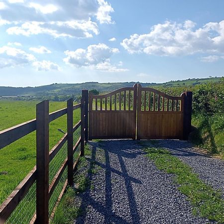 Oak Tree Farm Hotel Llanfynydd Buitenkant foto