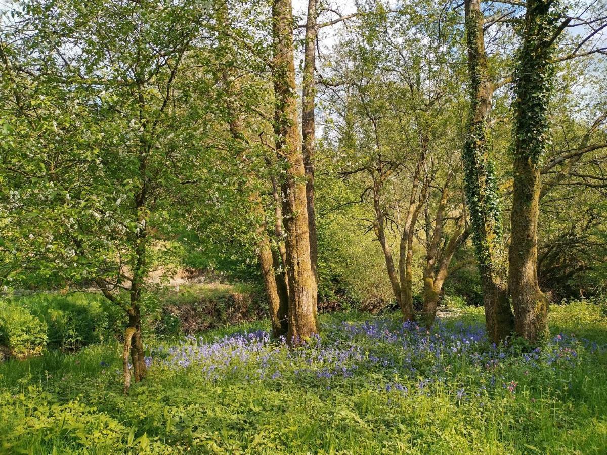 Oak Tree Farm Hotel Llanfynydd Buitenkant foto