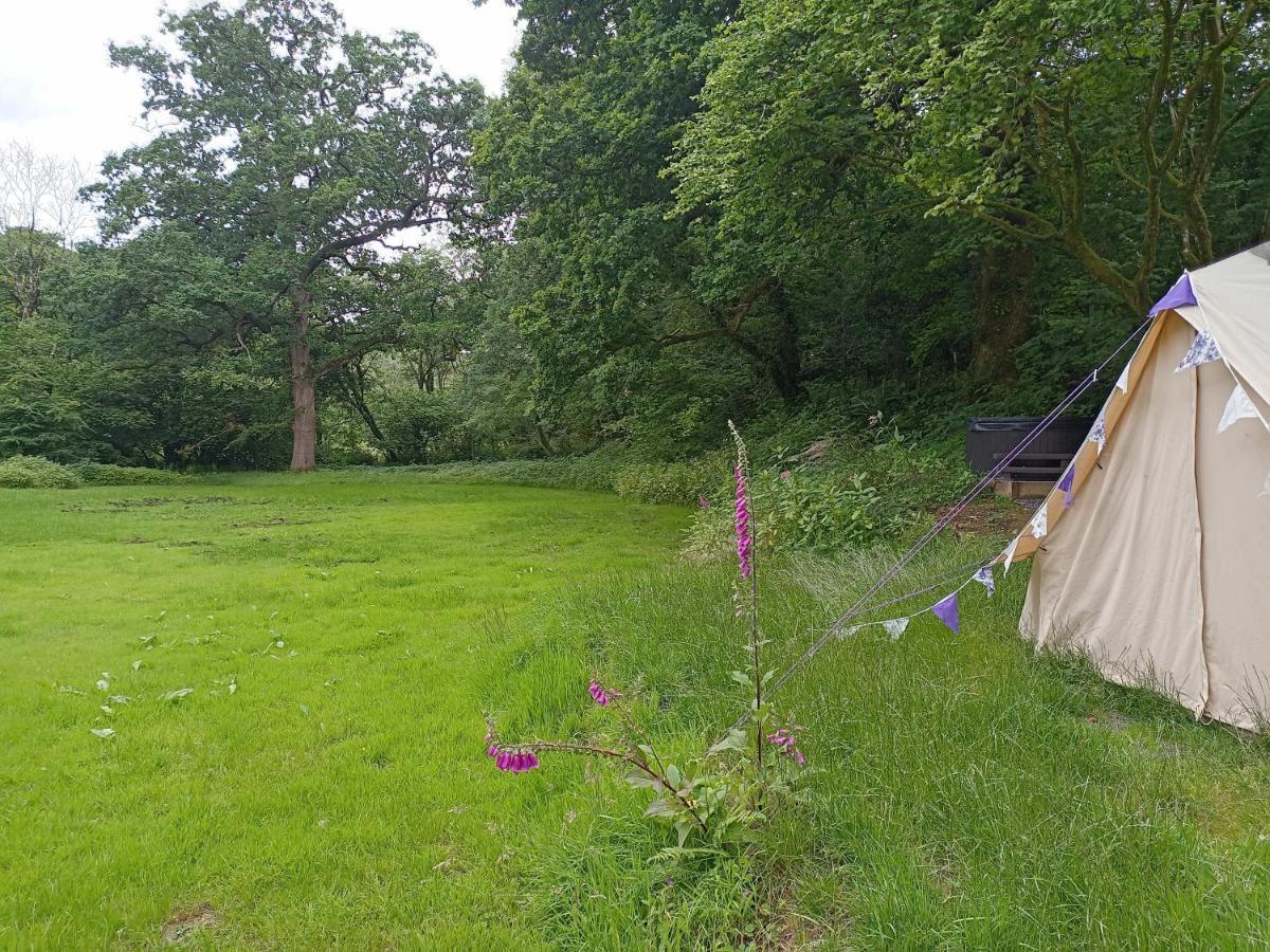 Oak Tree Farm Hotel Llanfynydd Buitenkant foto