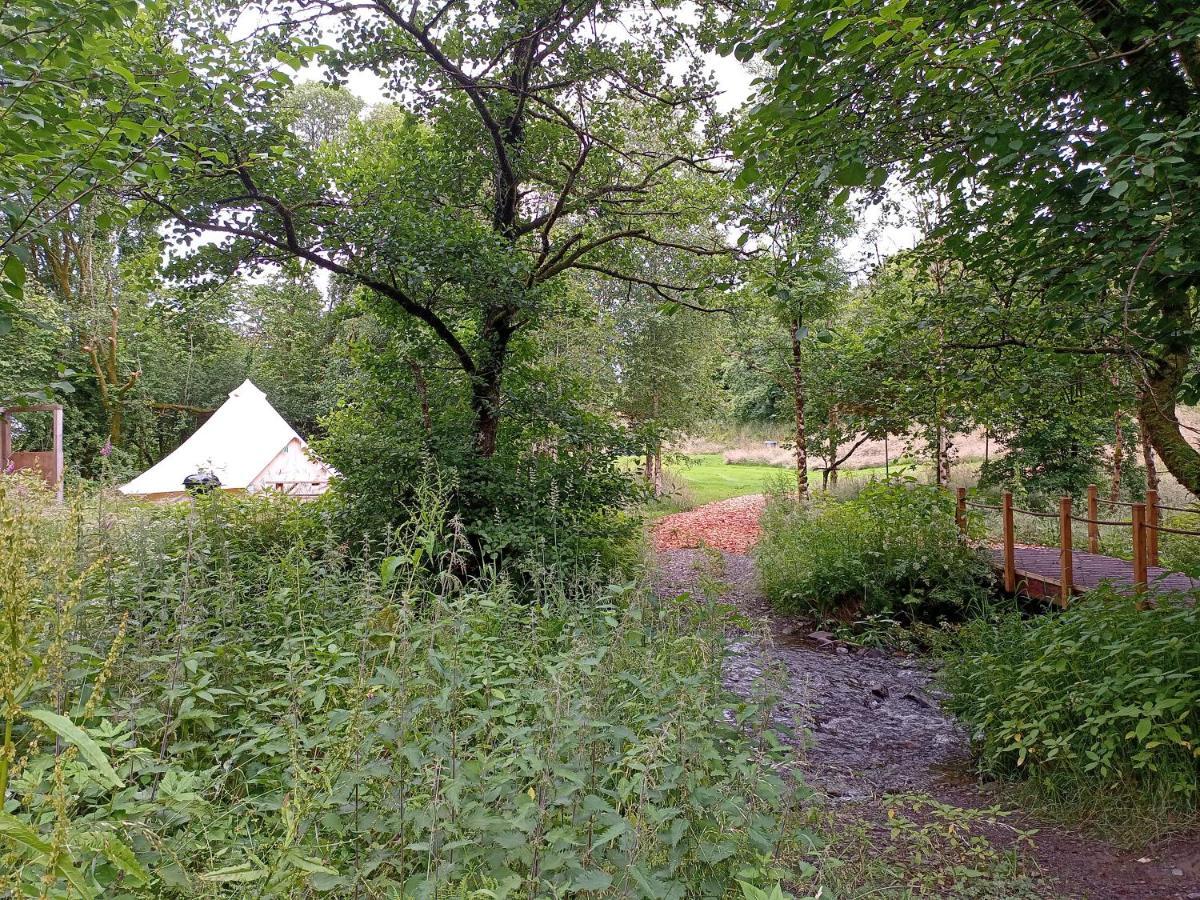Oak Tree Farm Hotel Llanfynydd Buitenkant foto