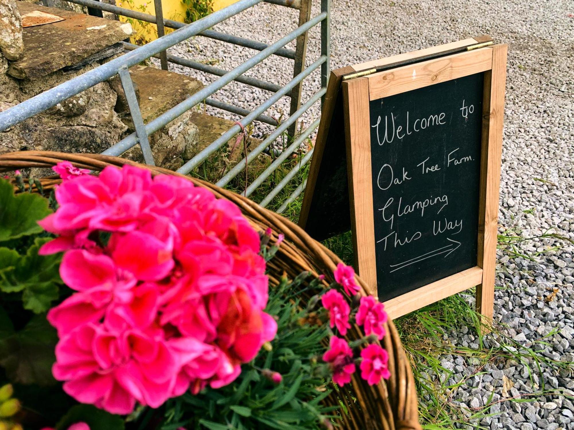 Oak Tree Farm Hotel Llanfynydd Buitenkant foto