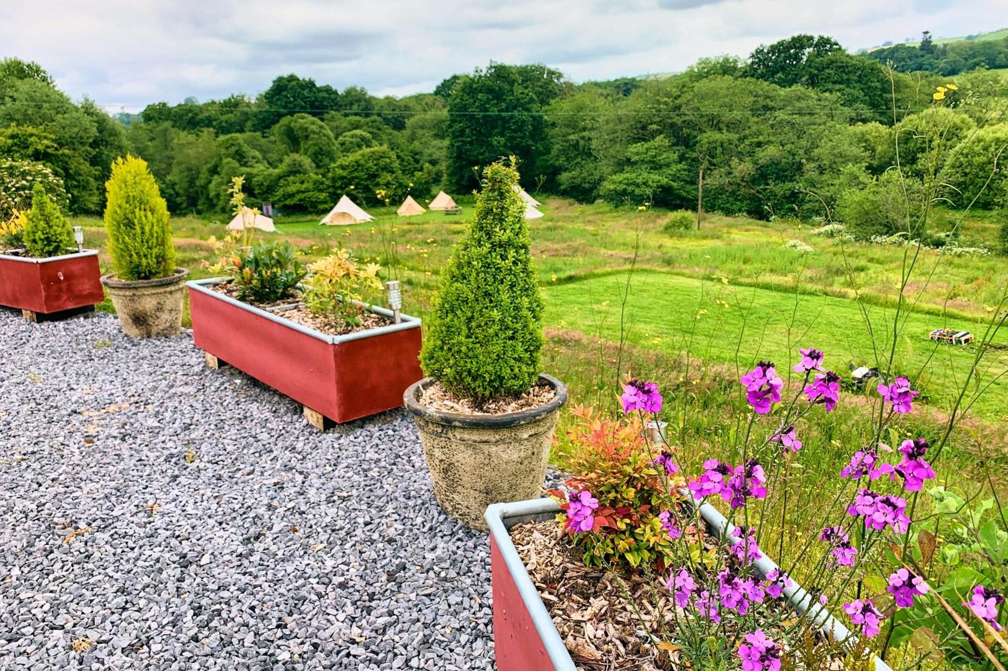Oak Tree Farm Hotel Llanfynydd Buitenkant foto